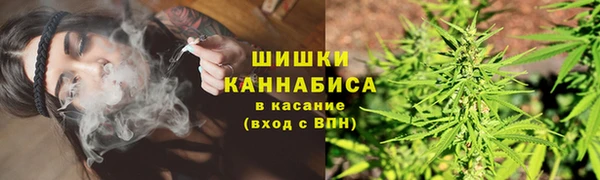 ГАЛЛЮЦИНОГЕННЫЕ ГРИБЫ Алзамай