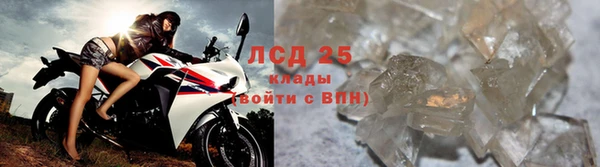 ГАЛЛЮЦИНОГЕННЫЕ ГРИБЫ Алзамай