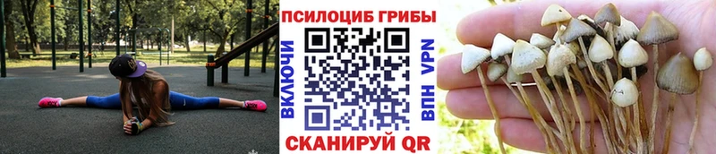 Псилоцибиновые грибы Magic Shrooms  Раменское 